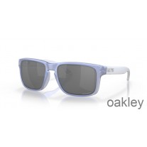 Oakley Holbrook Prizm Black Lenses Dark Matte Stonewash Opaline Frame Sunglasses