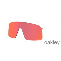 Tóirse Conaire Prizm Lionsaí Athsholáthair Oakley Sutro Lite
