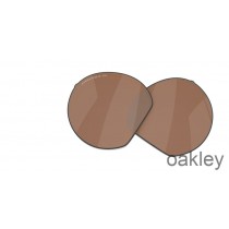 Náhradné šošovky Oakley HSTN Prizm Tungsten Polarizované