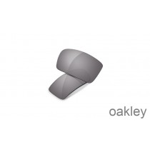 Oakley Gascan Replacement Lenses Grey