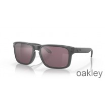 Oakley Holbrook Prizm dagelijkse gepolariseerde lenzen stalen frame zonnebril