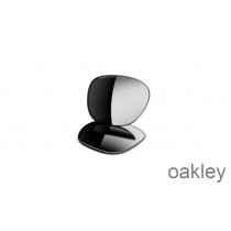 Oakley Frogskins Vervangingslenzen Zwart Iridium Gepolariseerd